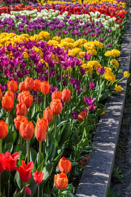 Flowerbed Curbing Installation