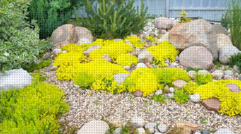 Landscaping Rocks Installation
