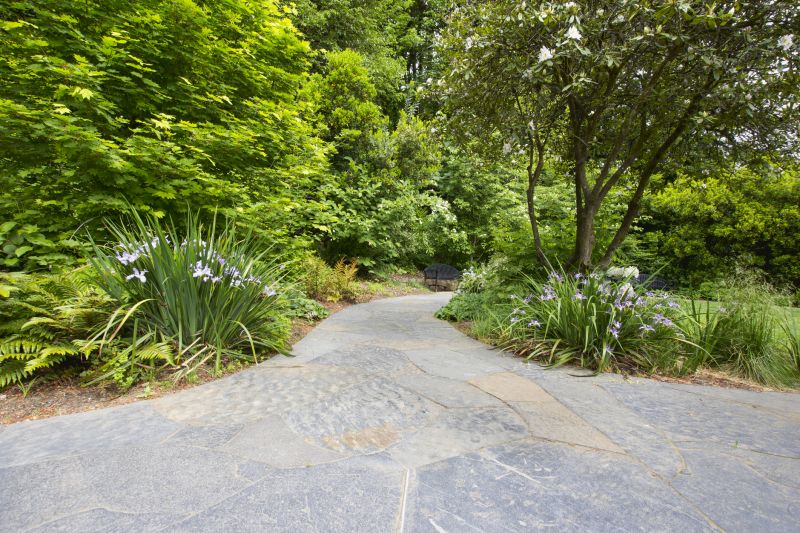Stone Pathway and Patio