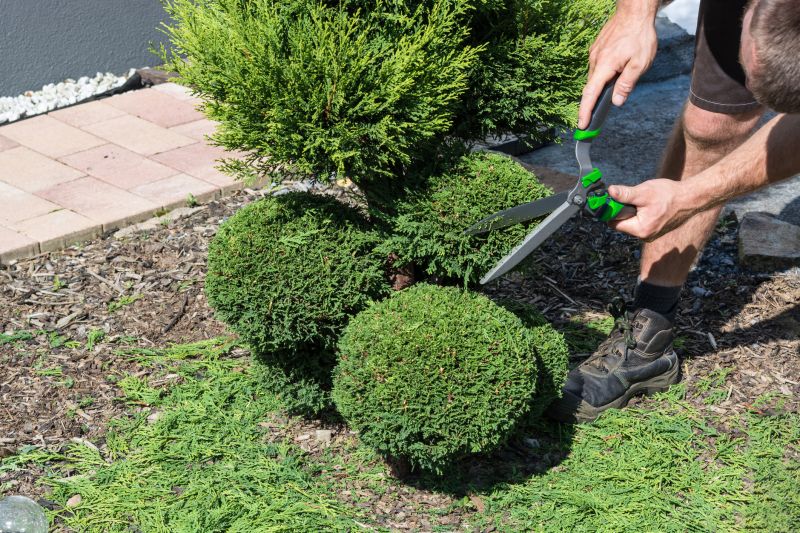 Shrub Planting Service