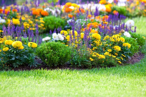 Flower Bed Maintenance in Camas