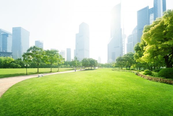 Commercial Landscape Maintenance in Camas