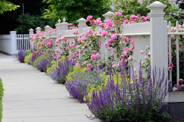 Garden Handyman Service in Camas