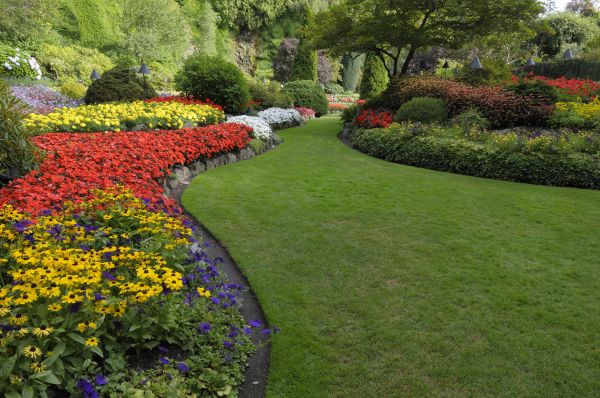 Landscaping Maintenance in Camas