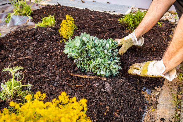 Weeding And Mulching in Camas