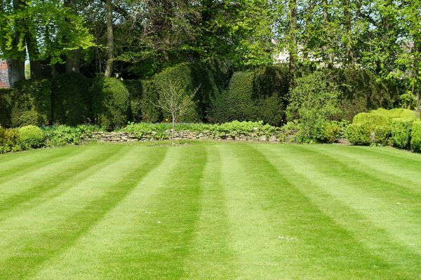 Lawn Renovation in Camas