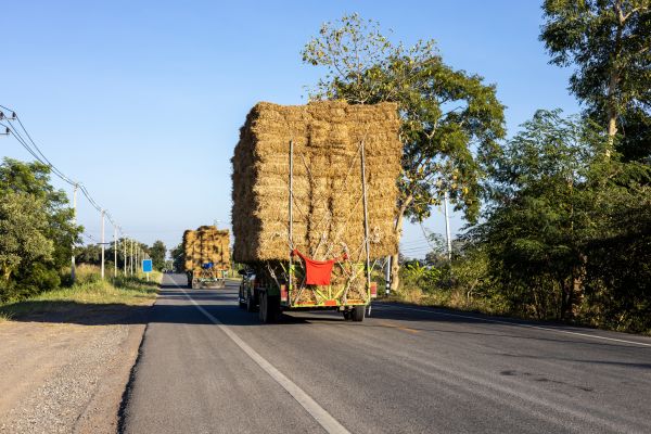 Pine Straw Delivery in Camas