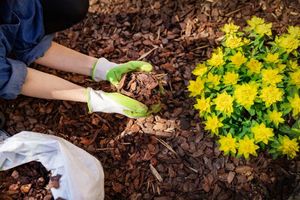 Garden Mulching in Camas