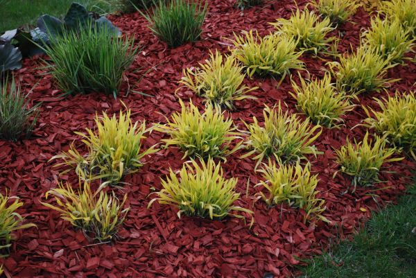Mulch Landscaping in Camas