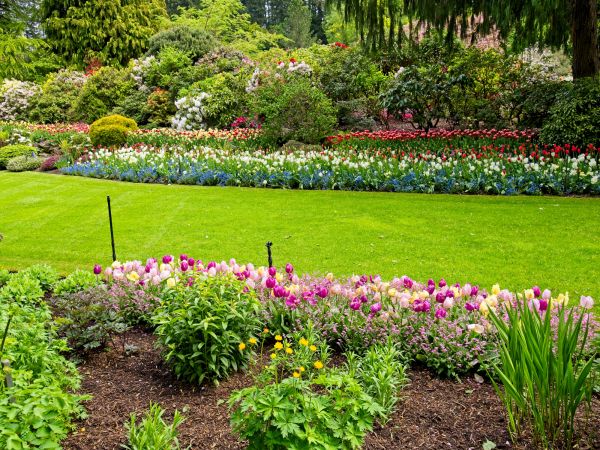 Residential Landscape Design in Camas