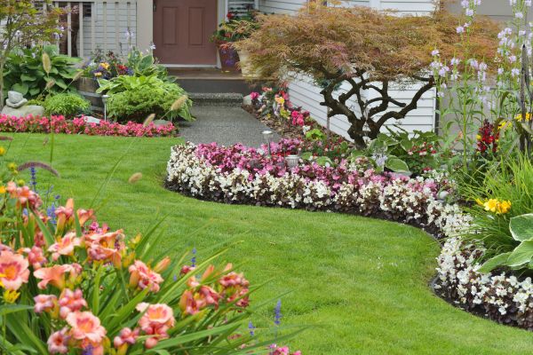 Perennial Landscaping in Camas