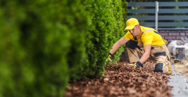 Cypress Mulch Installation in Camas