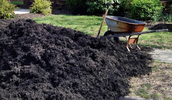 Black Mulch Installation in Camas