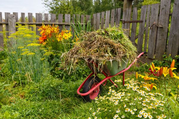 Garden Cleanup Service in Camas