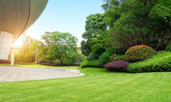 Business Landscape Design in Camas