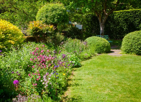Yard Landscaping Service in Camas