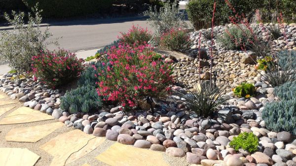 Xeriscape Landscaping in Camas