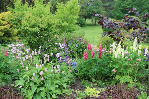 Flower Bed Planting in Camas