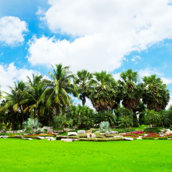 Tropical Landscaping in Camas