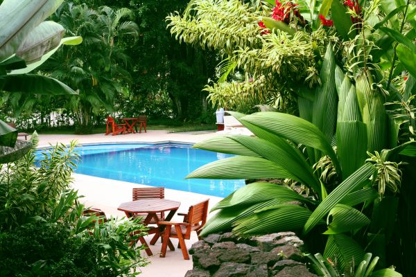 Tropical Garden Landscaping in Camas