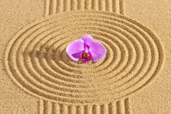 Sand Garden Landscaping in Camas