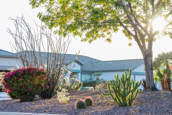 Dryscape Landscaping in Camas