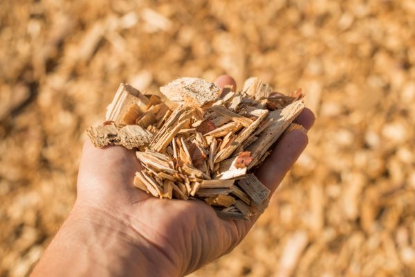 Wood Chips Spreading in Camas