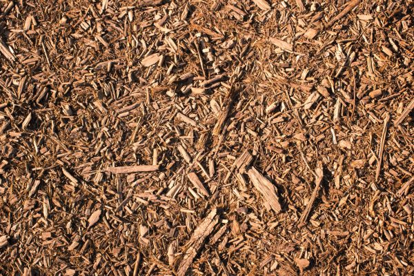 Wood Chips Removal in Camas