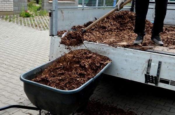 Cedar Mulch Delivery in Camas