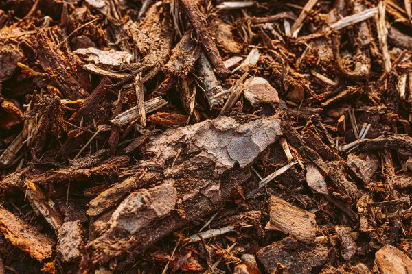 Bark Mulch Delivery in Camas