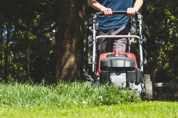 Garden Trimming Service in Camas