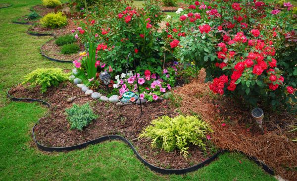 Floral Landscaping in Camas