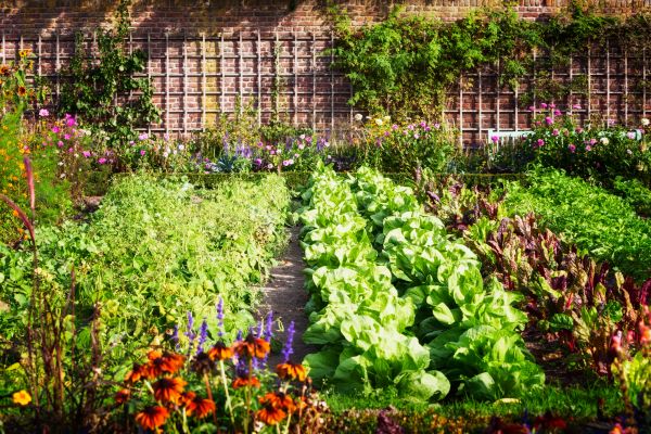 Garden Planting Service in Camas