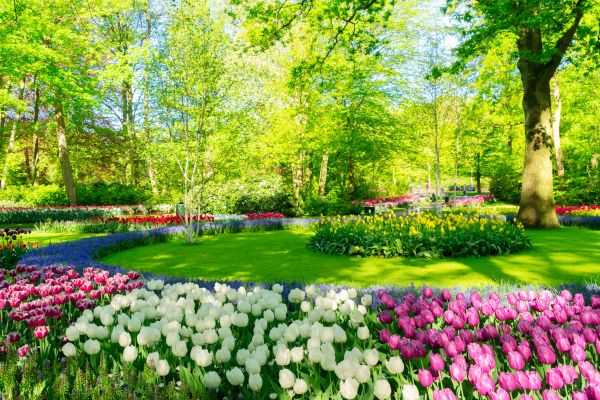 Flower Landscaping in Camas