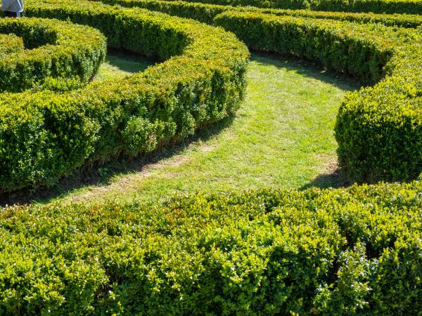 Bush Landscaping in Camas