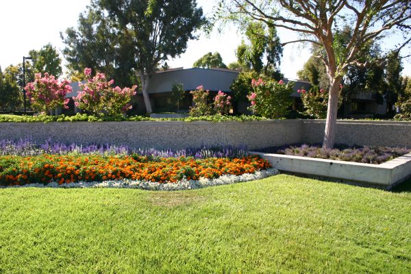 Commercial Landscape Service in Camas
