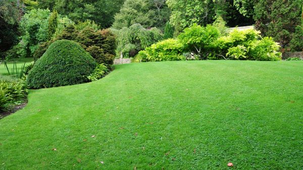 Commercial Landscape Design in Camas