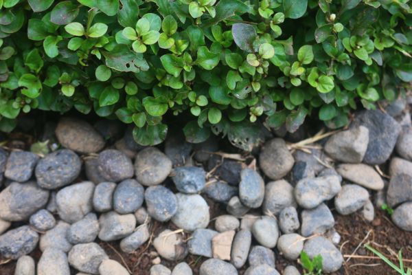 River Stone Installation in Camas