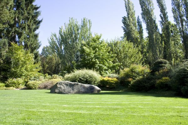 Yard Enlargement in Camas