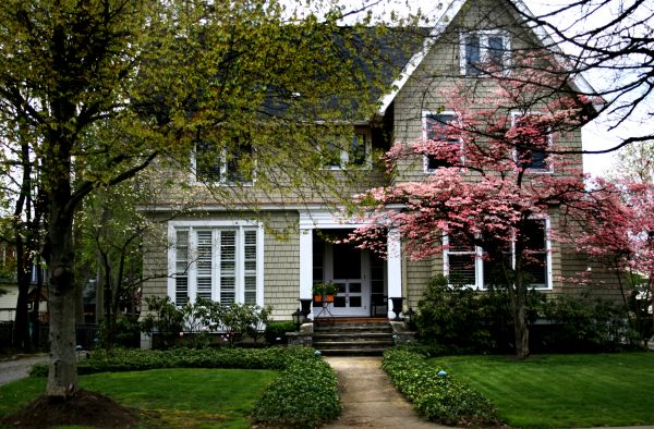 Ornamental Tree Planting in Camas
