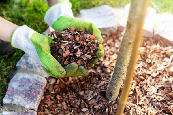 Tree Bark Delivery in Camas