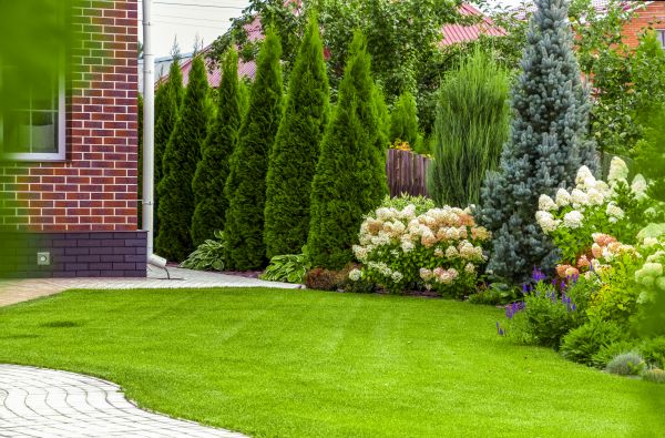 Spring Landscaping in Camas