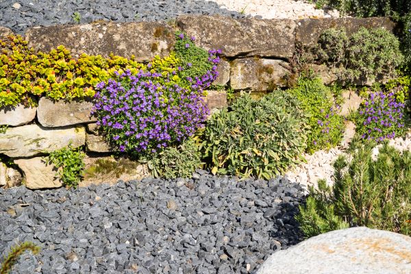 Landscaping Rocks Installation in Camas
