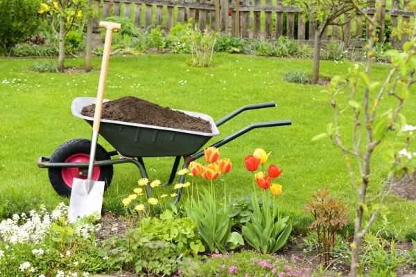 Spring Yard Renovation in Camas