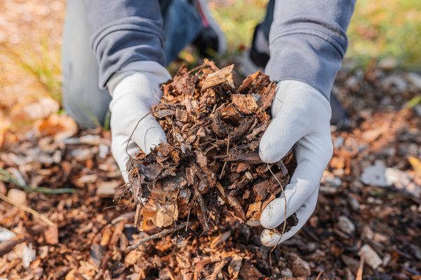 Shredded Mulch Installation in Camas