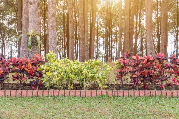 Small Garden Landscaping in Camas