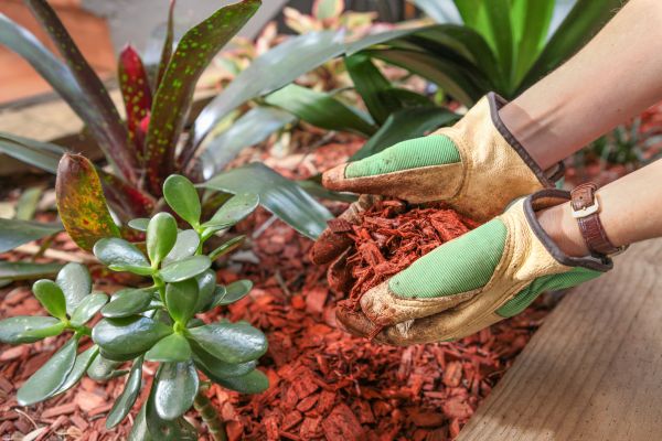 Cedar Mulch Installation in Camas