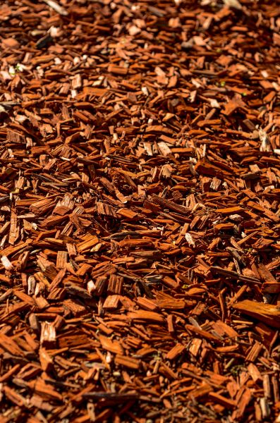 Cedar Mulch Spreading in Camas