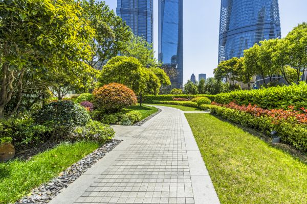 Commercial Landscaping in Camas